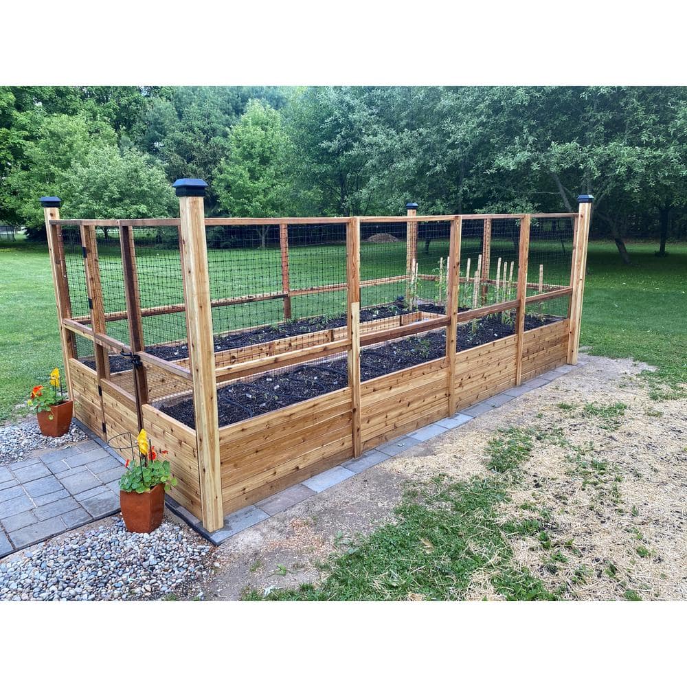 Outdoor Living Today 8 ft x 16 ft Cedar Raised Garden Bed with Deer Fence, RB816DFO