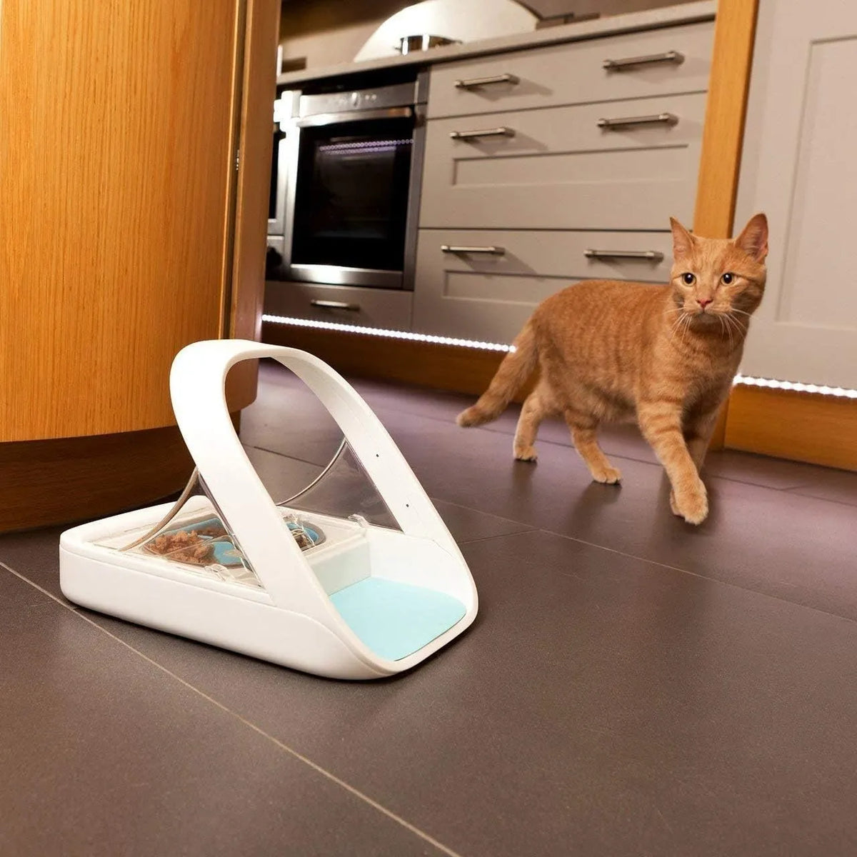 SureFeed MPF001 Microchip Automatic Pet Feeder – Wet & Dry Food, App Controlled
